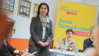 Katja Hessel, FDP